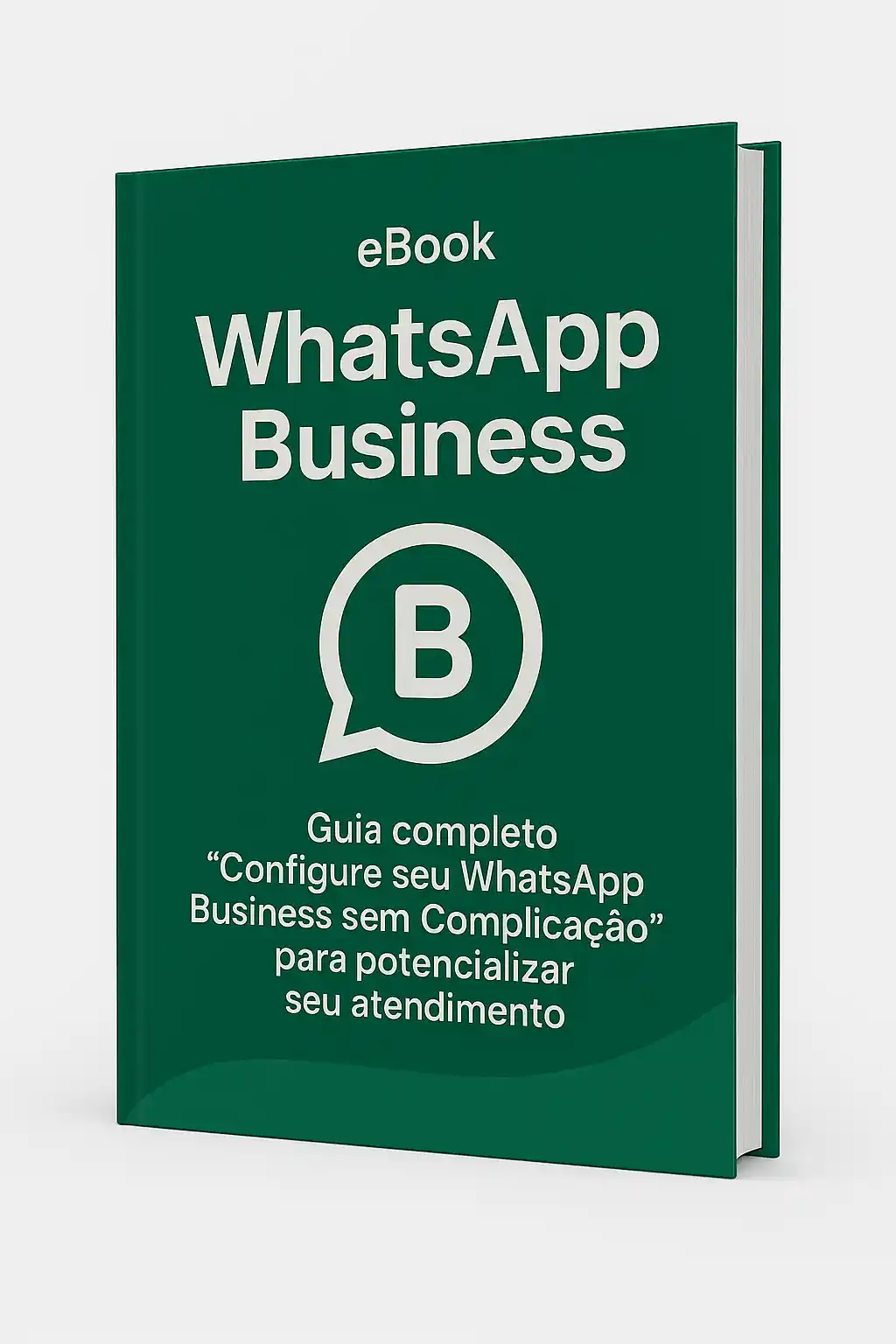 eBook WhatsApp Business